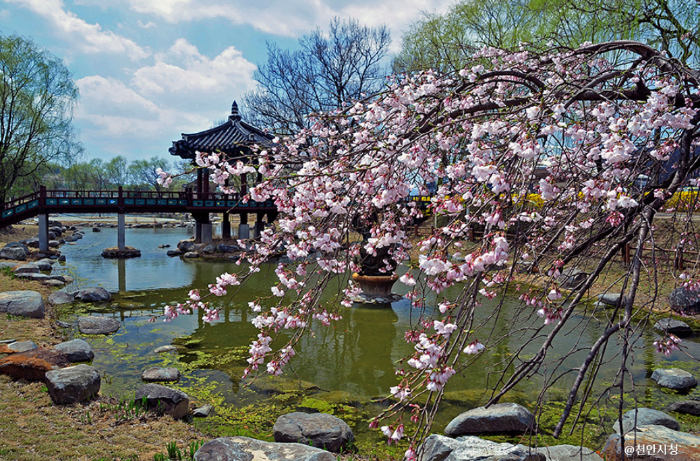 천안 삼거리 공원 전경