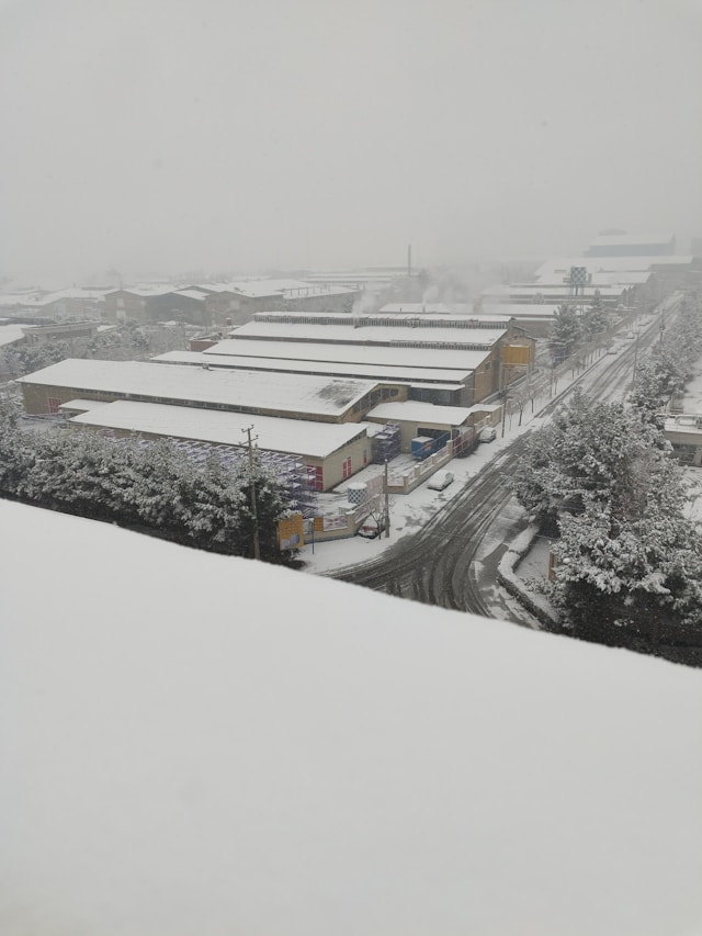 대설특보 어린이집 등원 자제 긴급보육 출석 인정 총정리