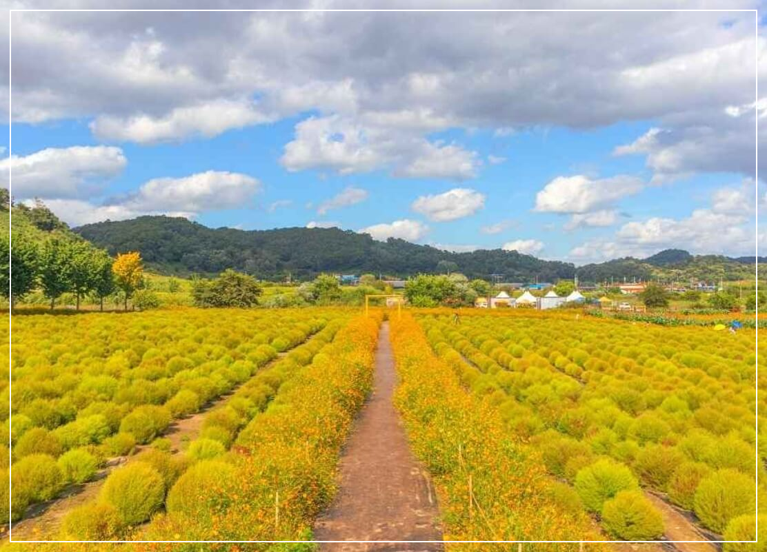 연천 가볼만한곳 베스트10 임진강 댑싸리공원