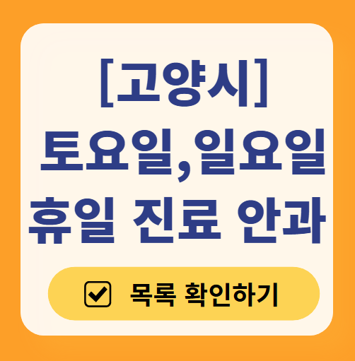 고양시 일요일 문 여는 안과 목록 ❘ 토요일, 주말, 공휴일 진료 영업 병원 찾기