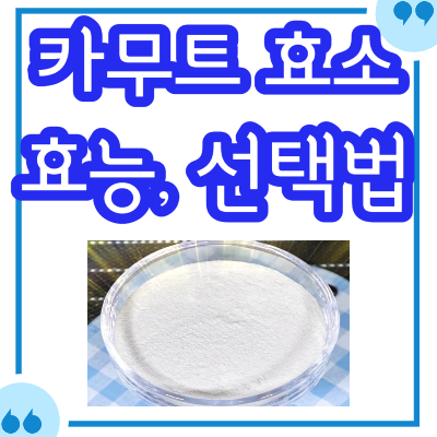 카무트효소 효능, 고르는 방법 정리