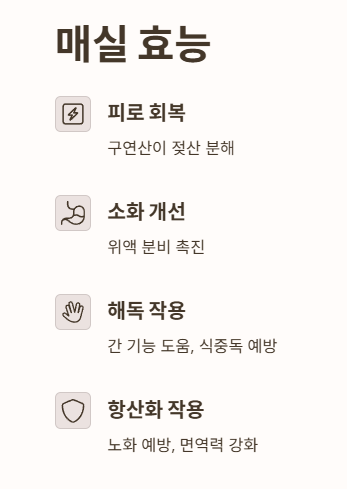 매실 효능
