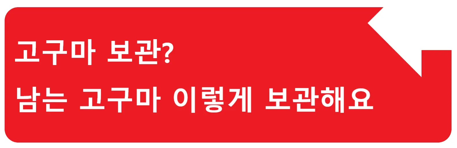 호빵 소비기한? 겨울철 최애 간식 호빵 오래 먹는 방법은 바로 이거죠!