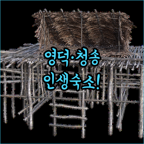 경북 영덕 청송 숙소 추천 TOP 5..