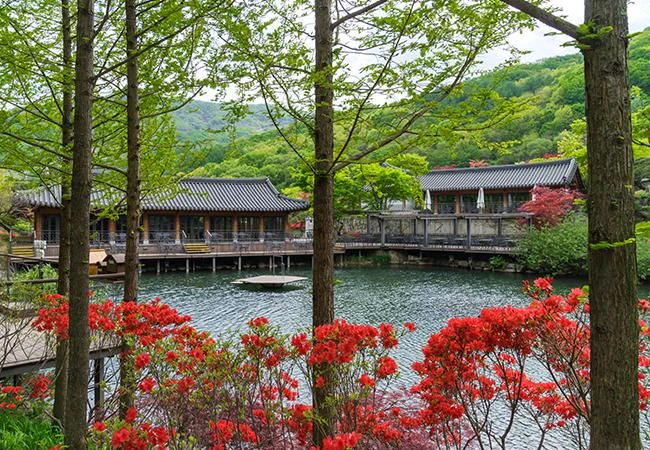 화담숲 사진