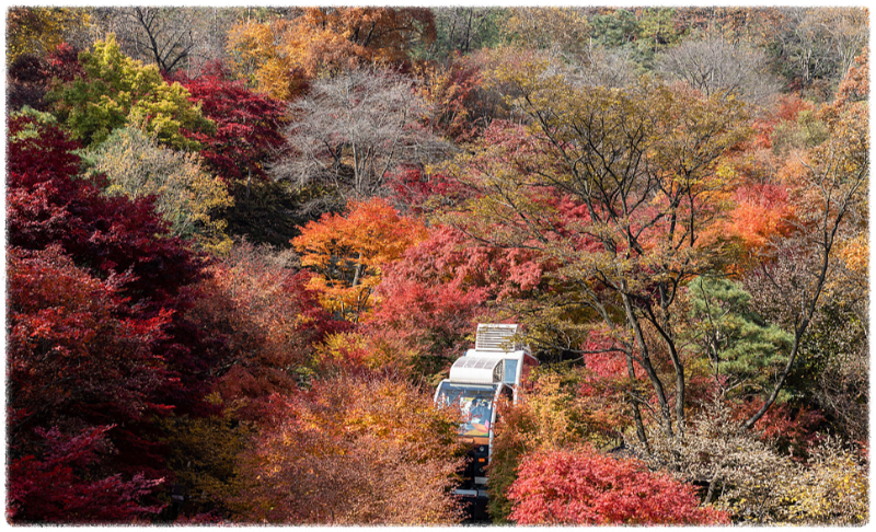 단풍명소