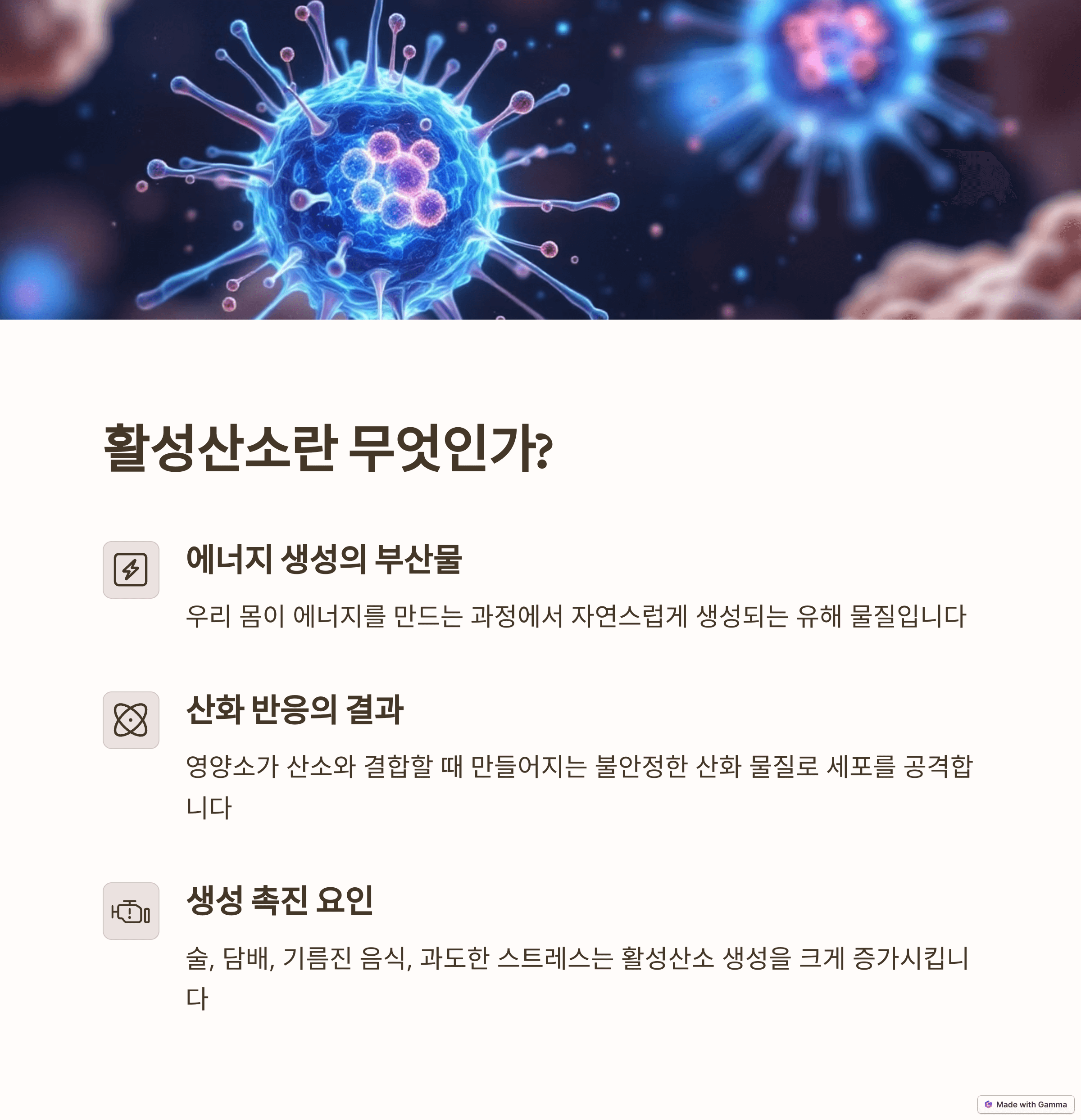 노화 지연의 핵심, 항산화 비타민: 젊음 유지 비법 &amp; 완벽 가이드