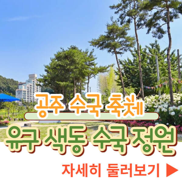 공주 수국축제 유구 색동 수국 정원
