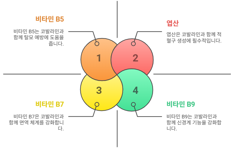 코발라민과 함께 먹으면 좋은 영양소