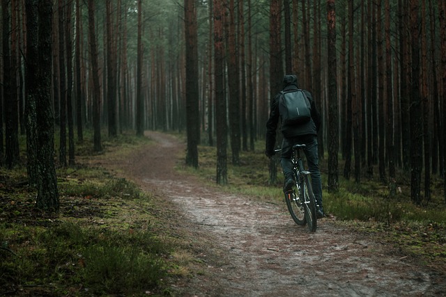 제주 자전거 조용한 숲길 관련 사진