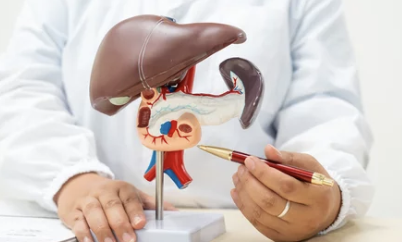 간 보호 & 해독 작용