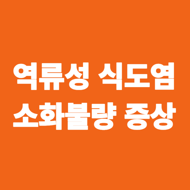 역류성 식도염 소화불량 증상