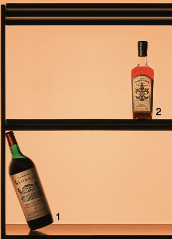 24년 가을 유행 및 트랜드