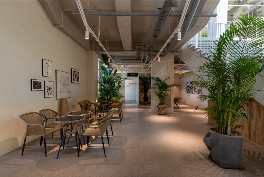 서울 근교 대형 카페 추천 TOP6 솔직 후기!