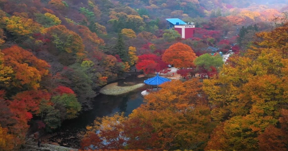 내장산-단풍-전경