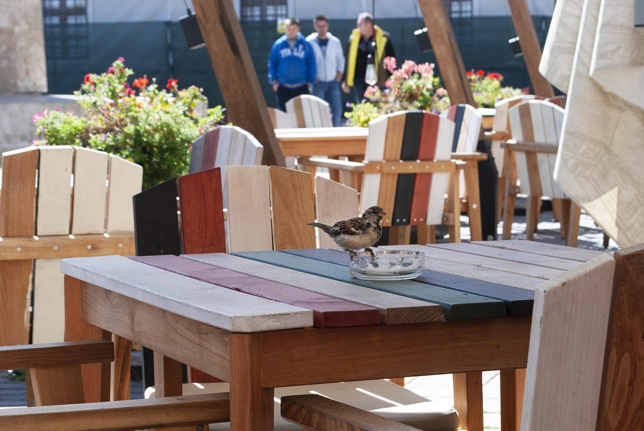 코로나대출지원