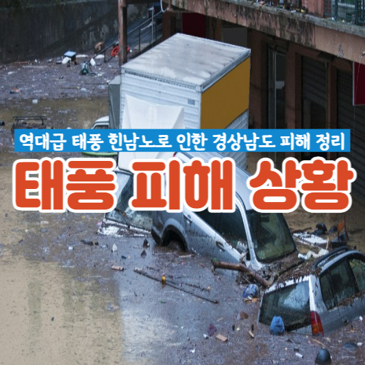 차 3대가 태풍 피해로 침수되어 있는 대표 썸네일입니다.