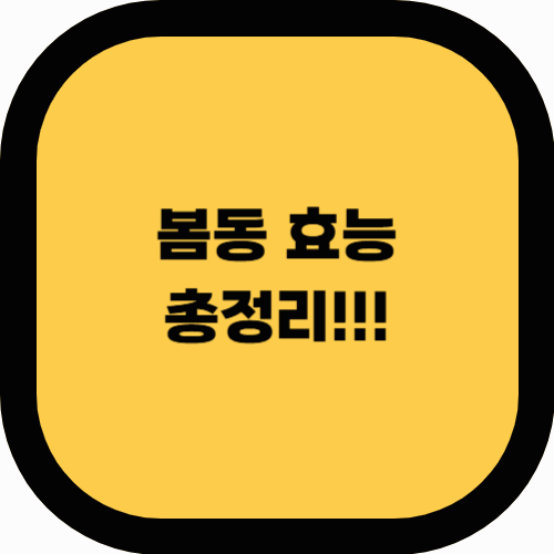 봄동 효능 총정리! 면역력 강화부터 다이어트까지 효과적인 이유