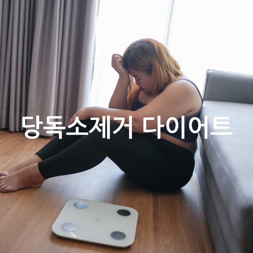 당독소다이어트