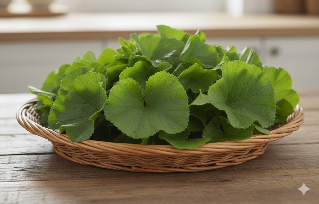 보들보들한 잎사귀와 통통한 줄기가 조화를 이룬, 영양가가 풍부한 제철 채소 아욱