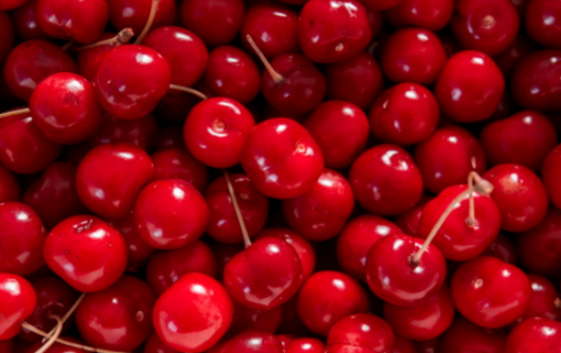 타트체리 부작용 효능