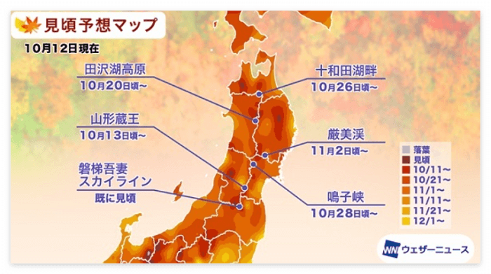 일본 동북부지역 단풍정보