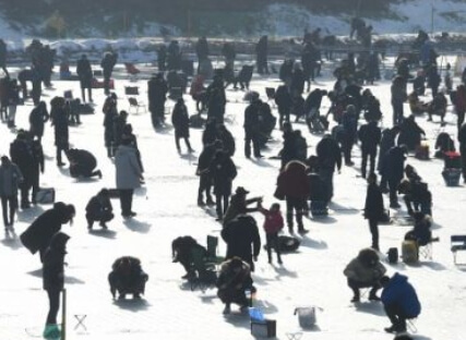 평창 송어축제 전경