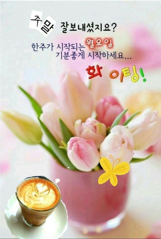 월요일 인사말 -1 이미지