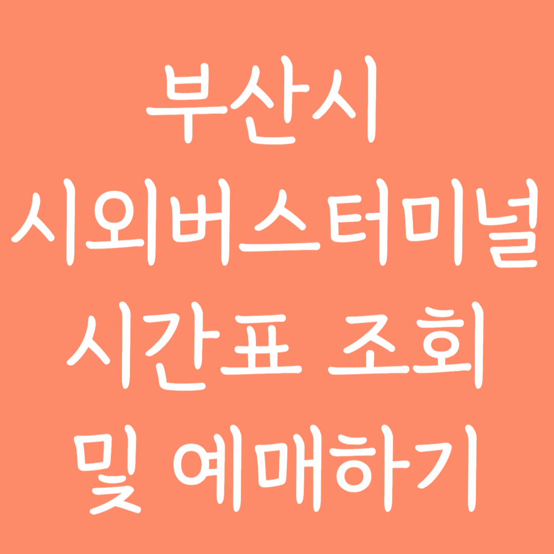 부산시 시외버스터미널 시간표 조회 및 예매하기