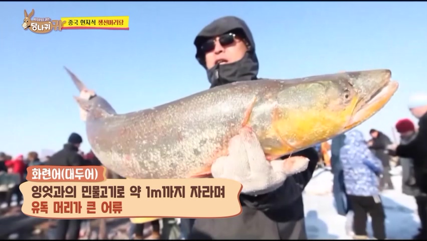 사장님귀는 당나귀귀 정지선 쉐프 중식당 생선머리탕 왕번데기 볶음 대림시장 차이나타운 맛집 위치 오늘방송 정보
