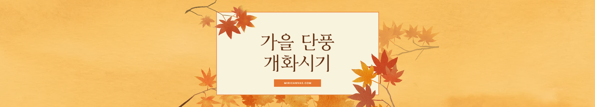 단풍개화 시기 놓치지 마세요! 가을 단풍 절정 시기와 숨은 명소 총정리