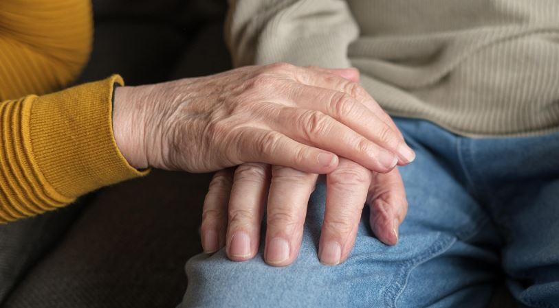 워크넷 요양나라 구인구직 요양보호사 모집공고 리스트(최신 업데이트)