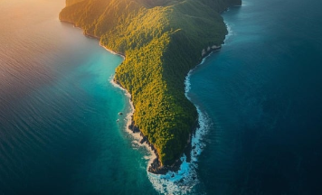 동남아 열대 우림