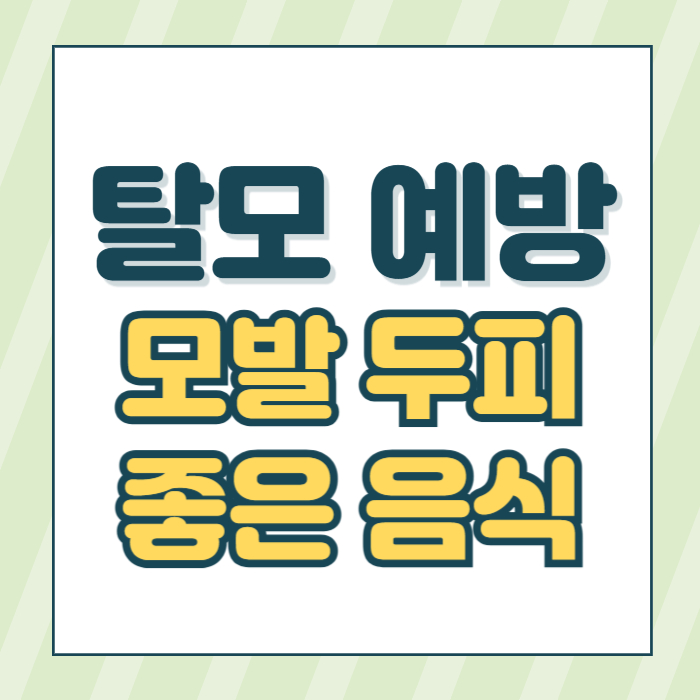 탈모예방좋은음식