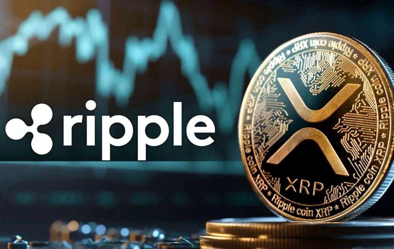 리플 XRP