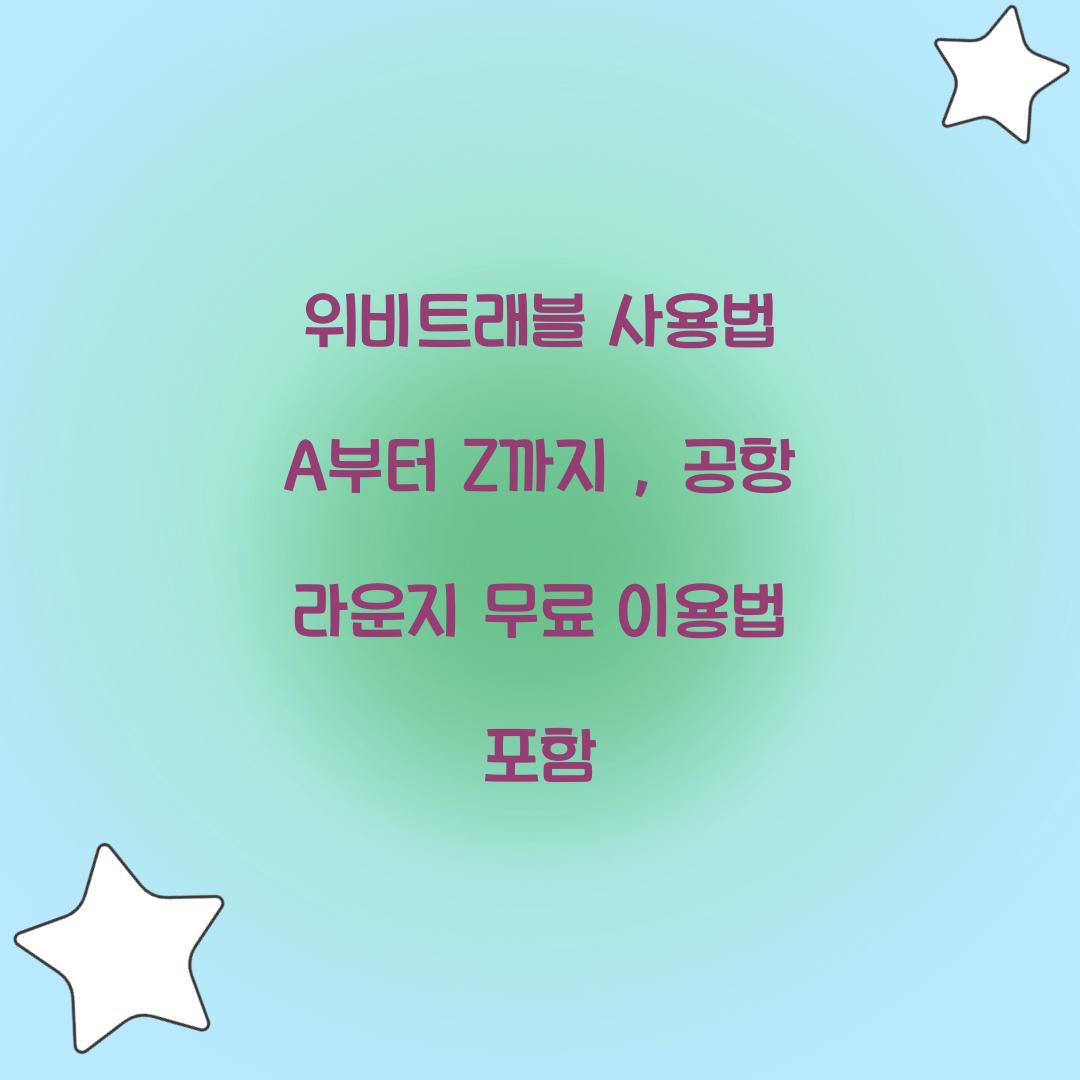 위비트래블 사용법