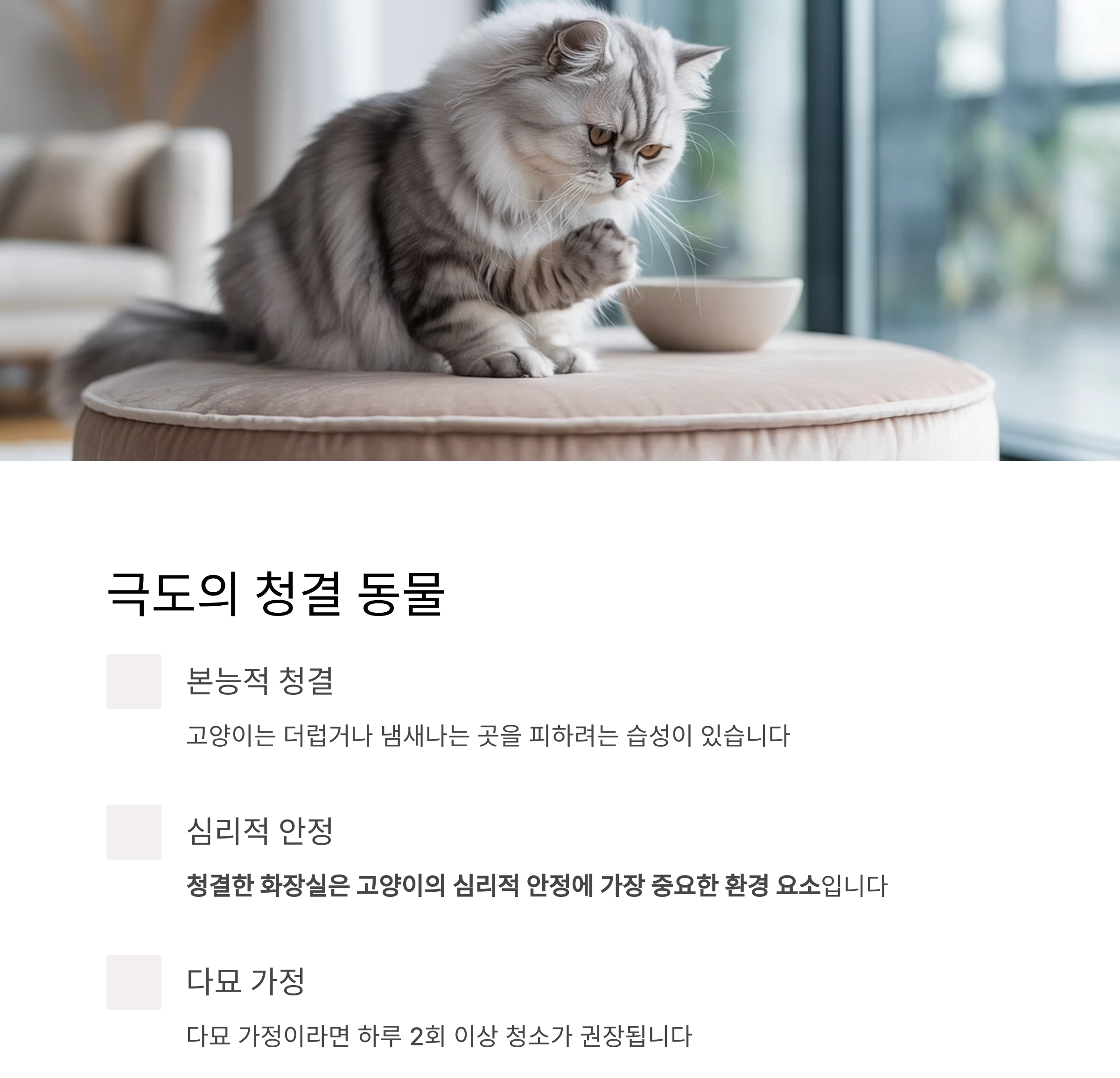 고양이 화장실, 매일 청소가 필요한 진짜 이유