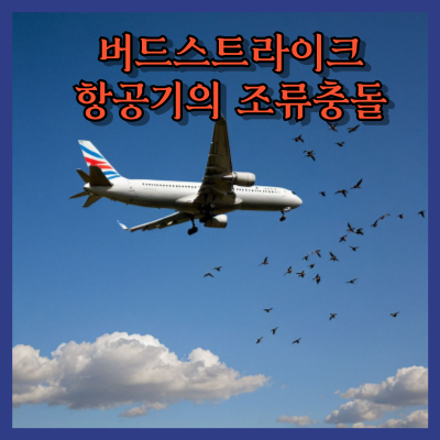 버드스트라이크