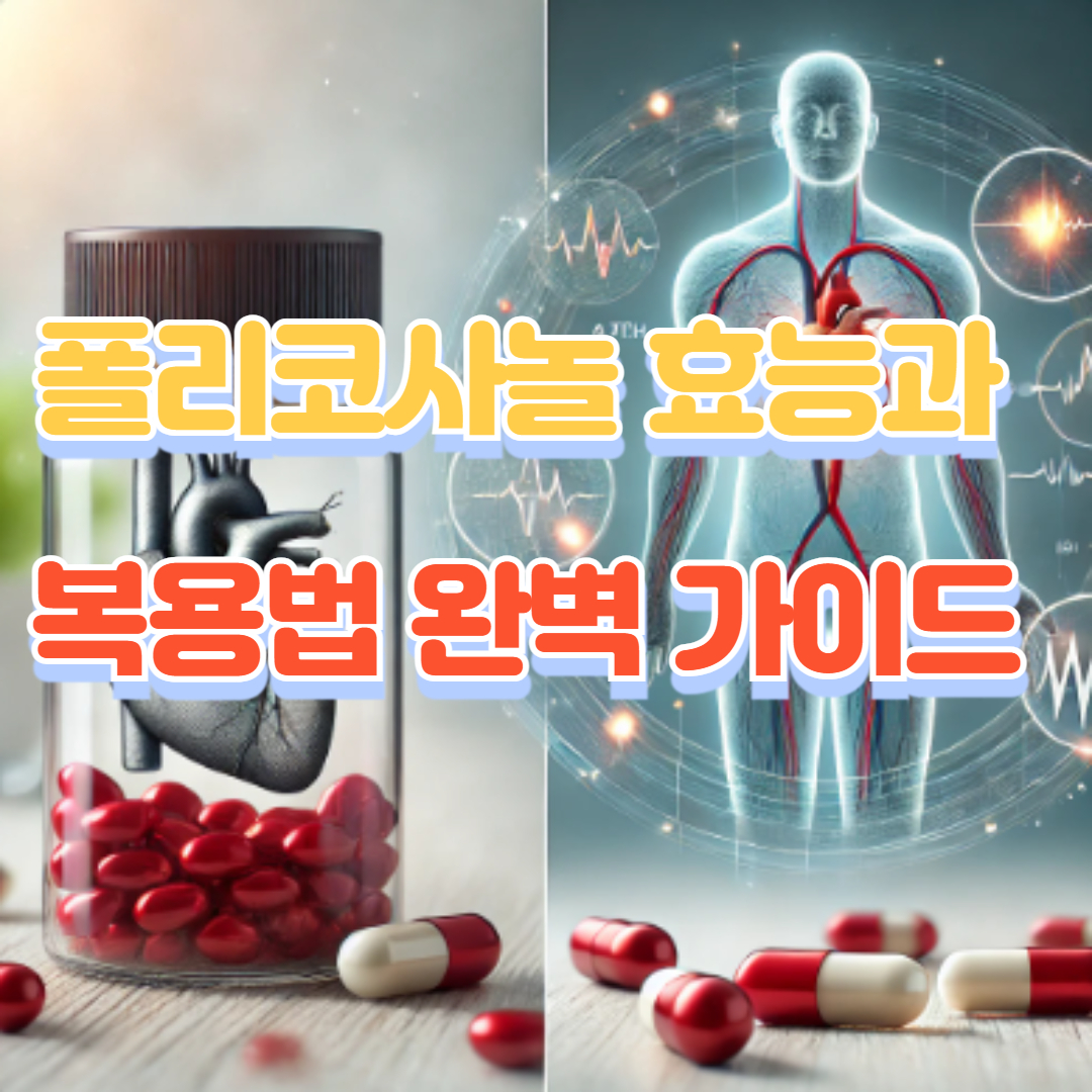 폴리코사놀 효능과 복용법 완벽 가이드