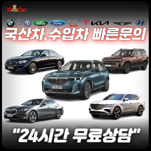 자이언트카 허위견적 비교