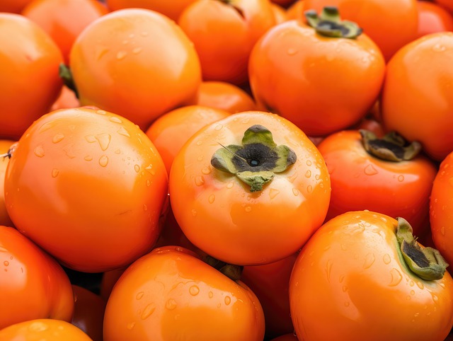 11월 제철음식 단감