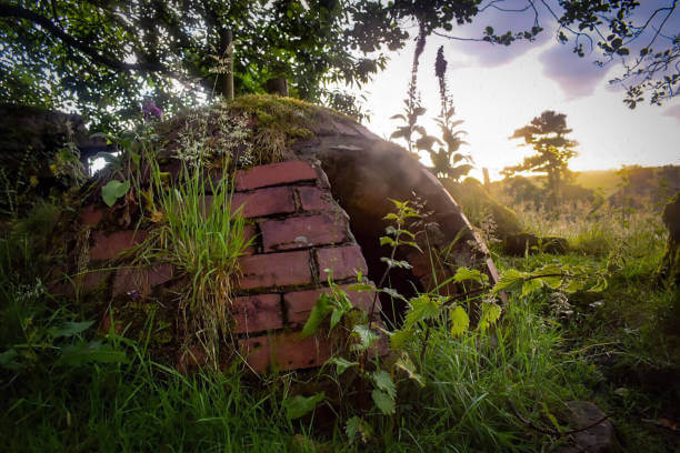 한밤중 조난 상황, 가장 빠른 자연재 은신처 구축순서