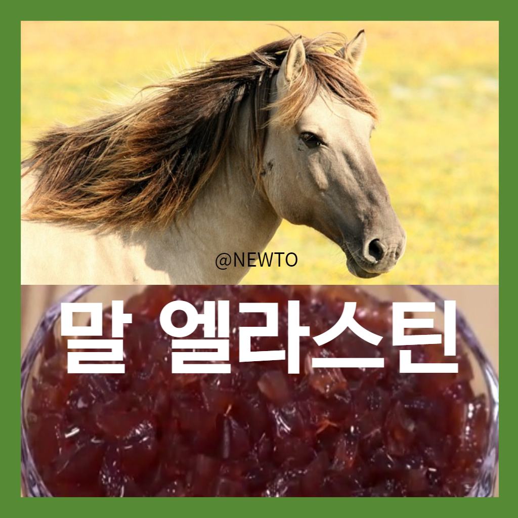 엘라스틴, 말엘라스틴 관련 이미지