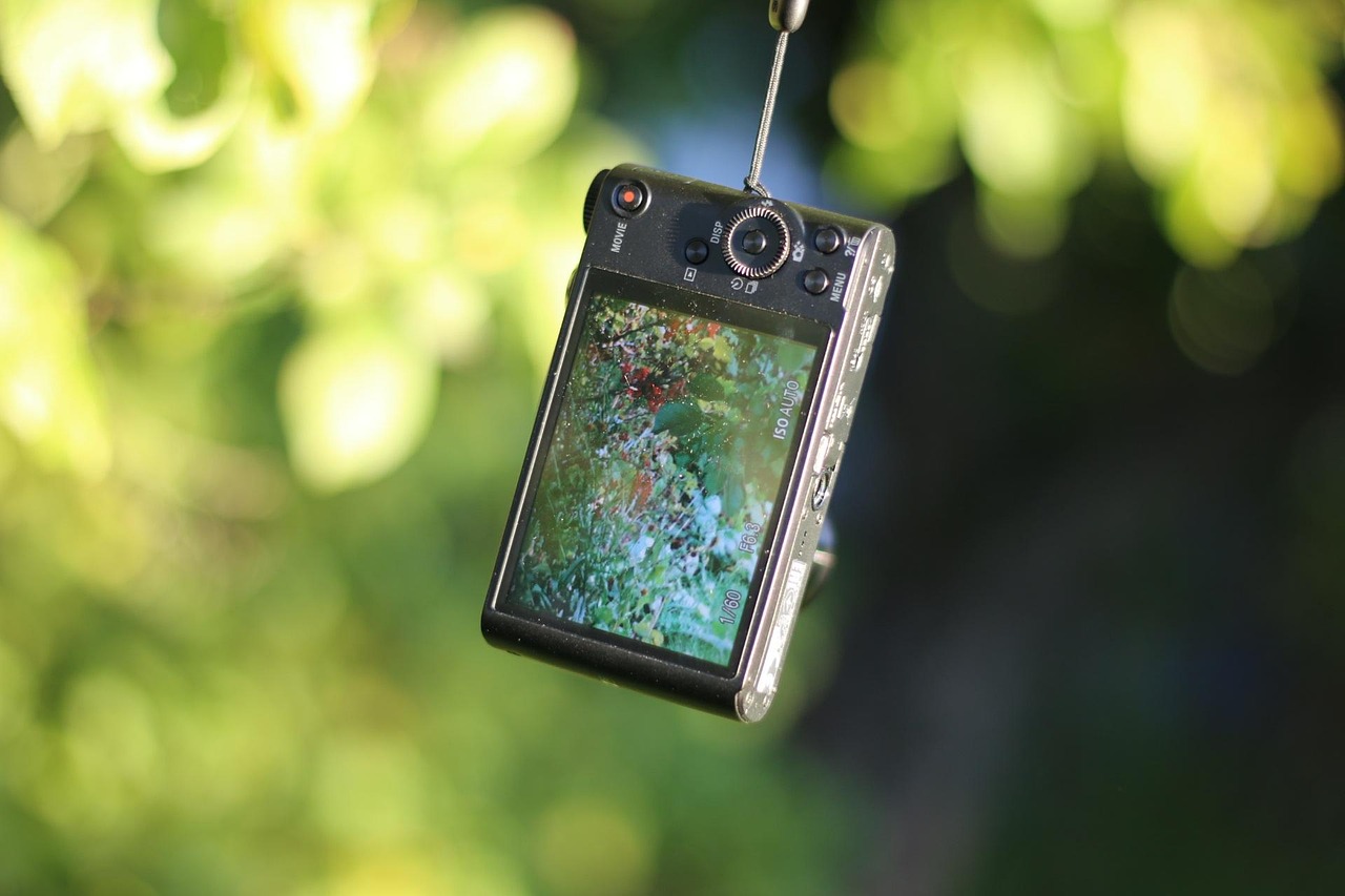 콤팩트 카메라 관련 사진