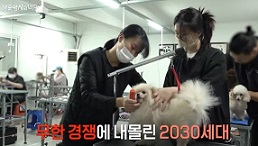 무한경쟁하는2030세대