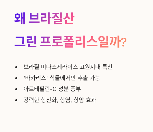 그린 프로폴리스 브라질