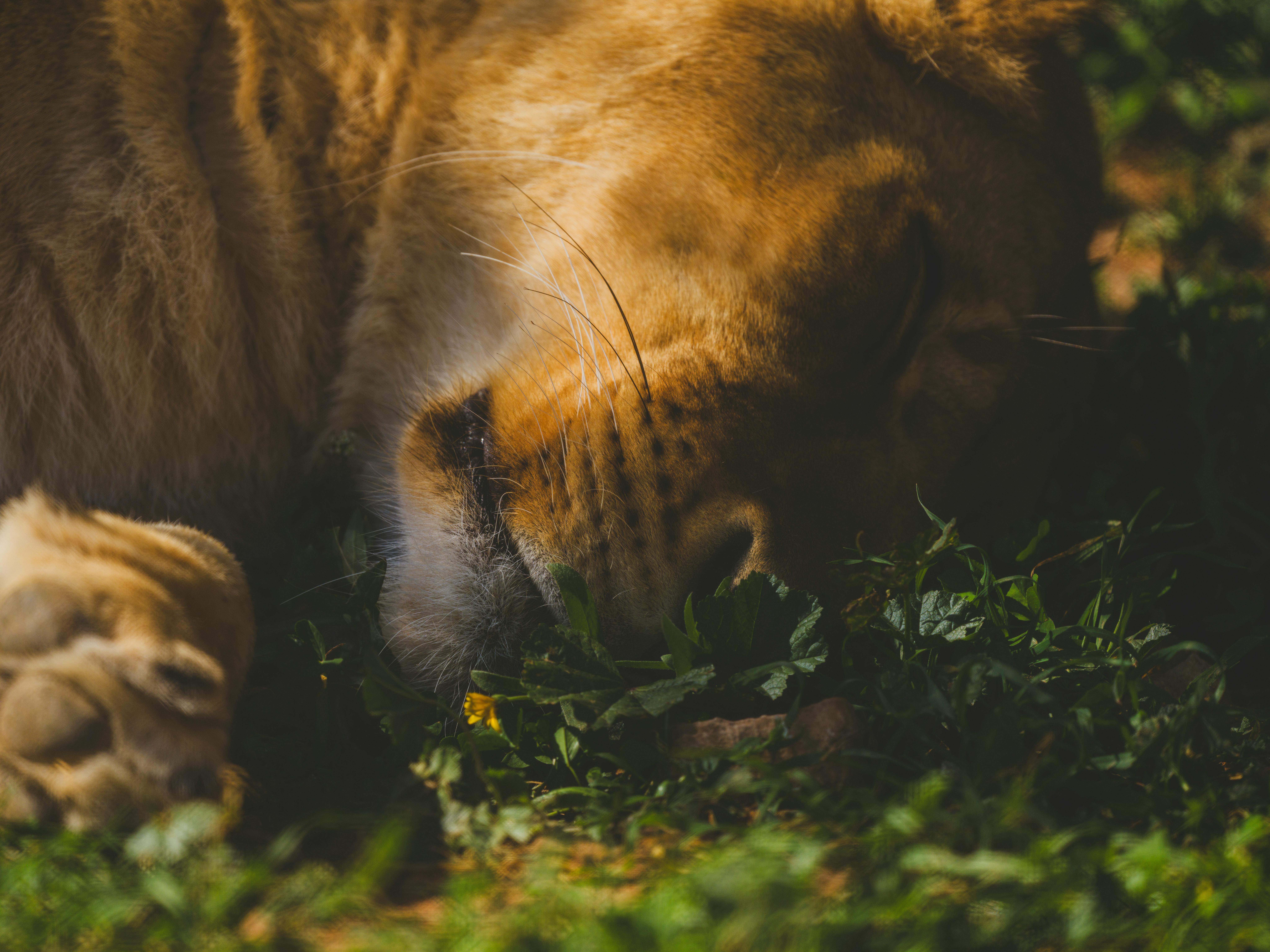 여자 귀신의 손길을 느끼는을 상징하는 이미지