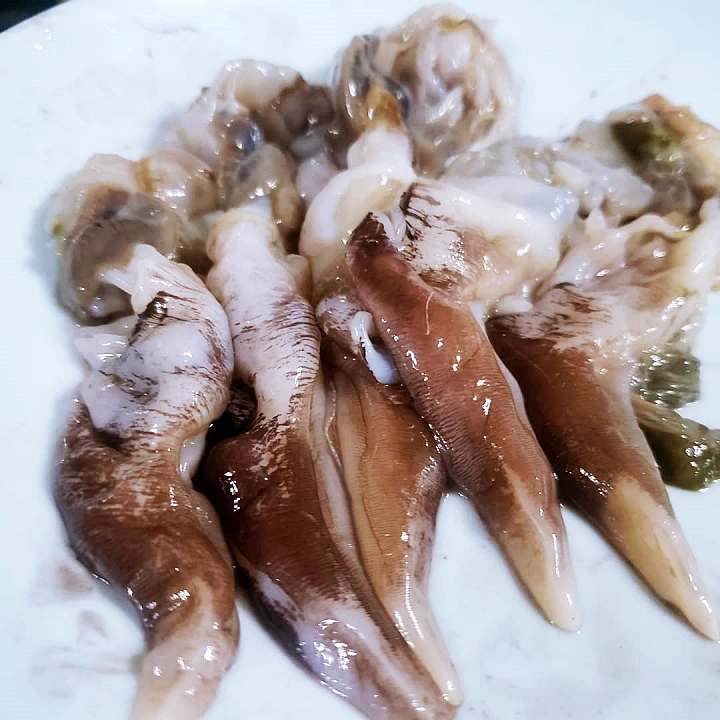 백반기행 광희 편 새조개 샤브샤브 갯장어 바다장어 샤부샤부 부천 맛집 소개