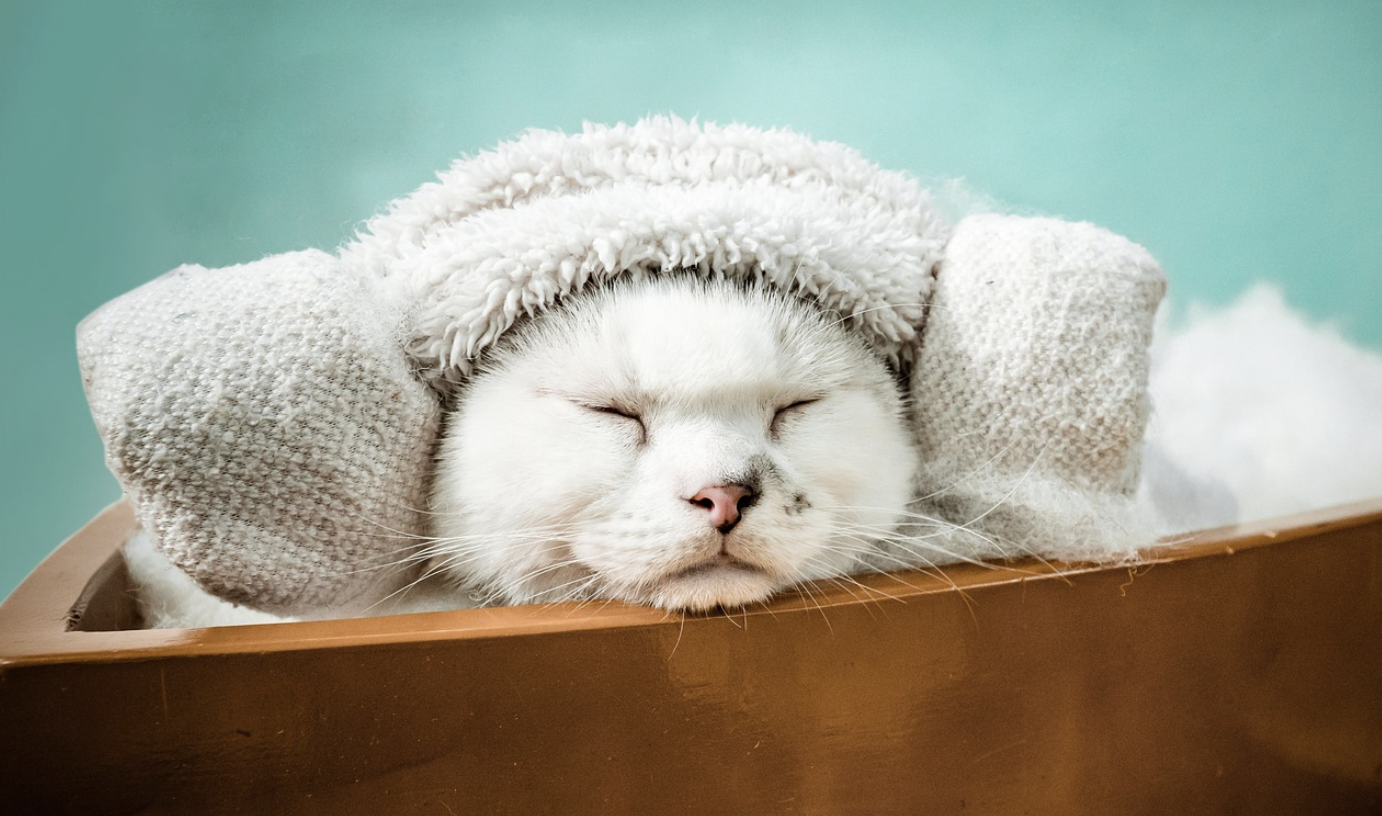 온천-즐기는-사진