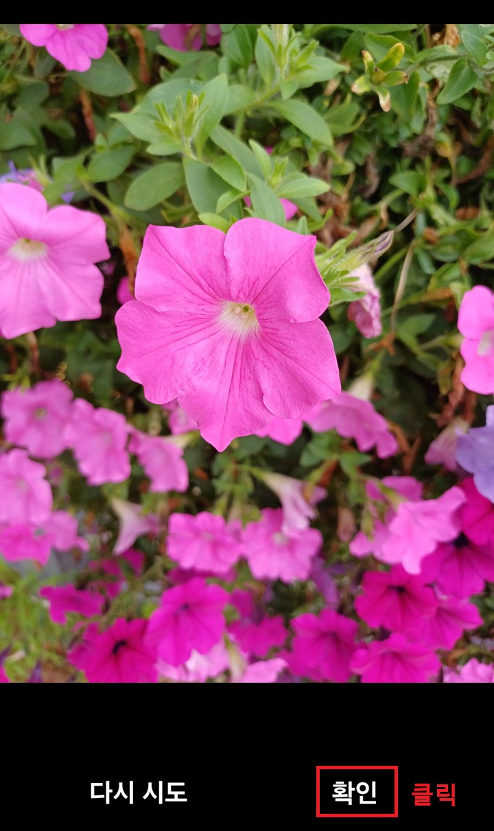 화면 하단의 확인 버튼 클릭함